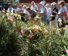 Garden Judges Workshop 2