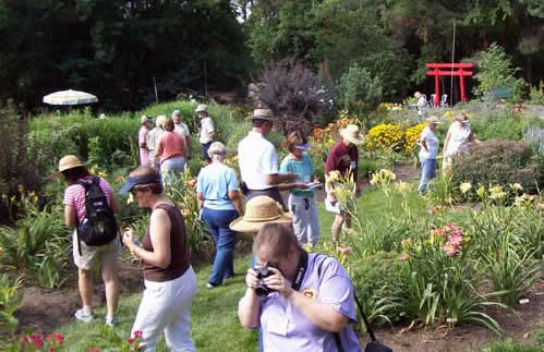 Garden Tour at Loon Song Gardens