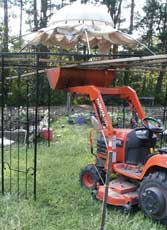 Kubota tractor at work